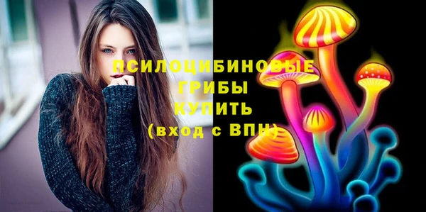 ГАЛЛЮЦИНОГЕННЫЕ ГРИБЫ Белоозёрский